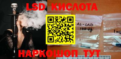 гашик Краснодар