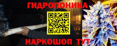 гашик Краснодар