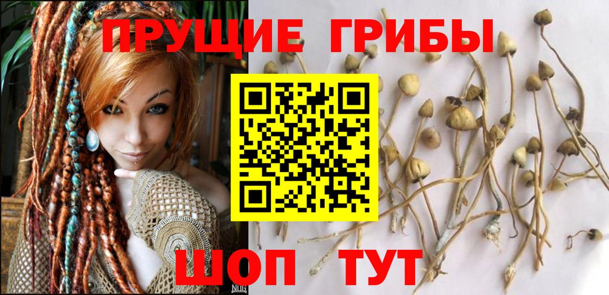 Камышин  Галлюциногенные грибы Magic Shrooms  Вход с VPN 